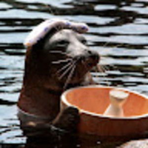 Meet your Posher, Nick